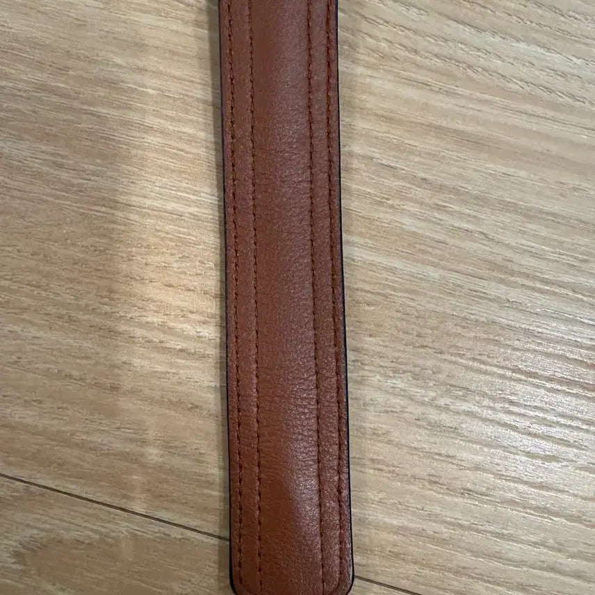 [BUNJANG] Loewe Phone Pouch / 로에베 폰 파우치