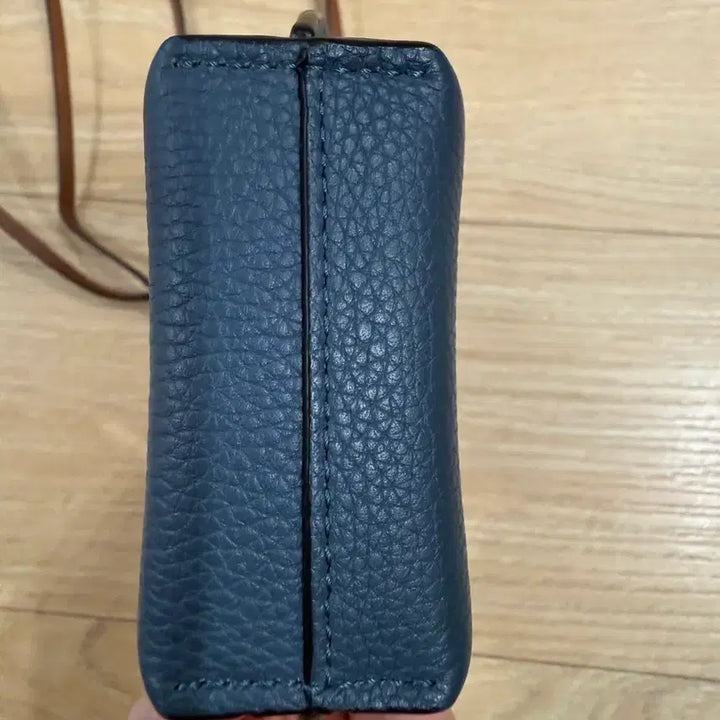 [BUNJANG] Loewe Phone Pouch / 로에베 폰 파우치
