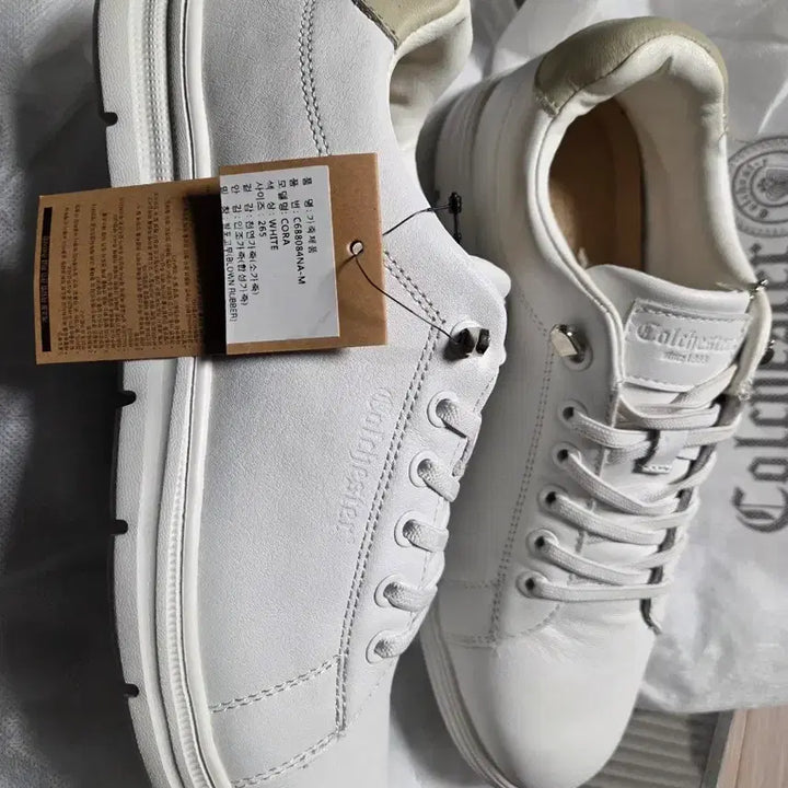 [SOLD OUT] 새상품 콜체스터 스니커즈  265