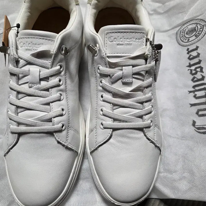 [SOLD OUT] 새상품 콜체스터 스니커즈  265