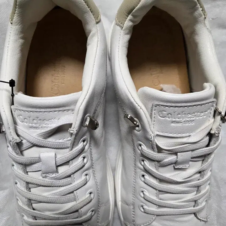 [SOLD OUT] 새상품 콜체스터 스니커즈  265