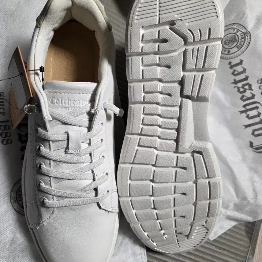 [SOLD OUT] 새상품 콜체스터 스니커즈  265