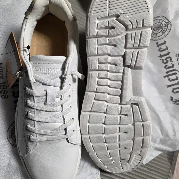 [SOLD OUT] 새상품 콜체스터 스니커즈  265