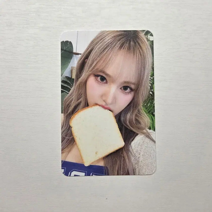 [BUNJANG] IVE Liz Withmu Bread Photocard / 아이브 리즈 위드뮤 식빵