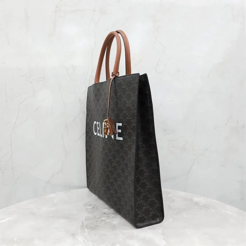 [BUNJANG] Celine Triomphe Canvas Vertical Cabas Bag / 셀린느 트리오페 캔버스 버티컬 카바스 백 191492BZK