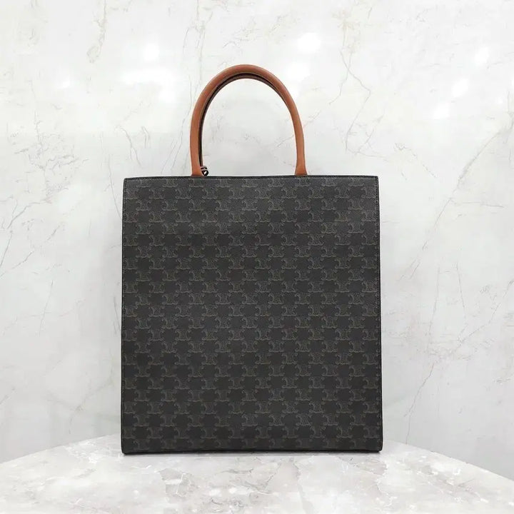 [BUNJANG] Celine Triomphe Canvas Vertical Cabas Bag / 셀린느 트리오페 캔버스 버티컬 카바스 백 191492BZK