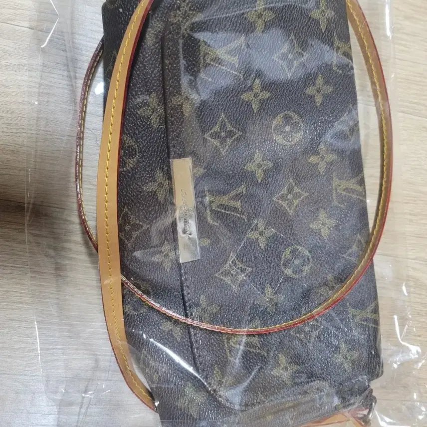 [BUNJANG] Louis Vuitton Favorite MM Bag / 루이비통 페이버릿 mm