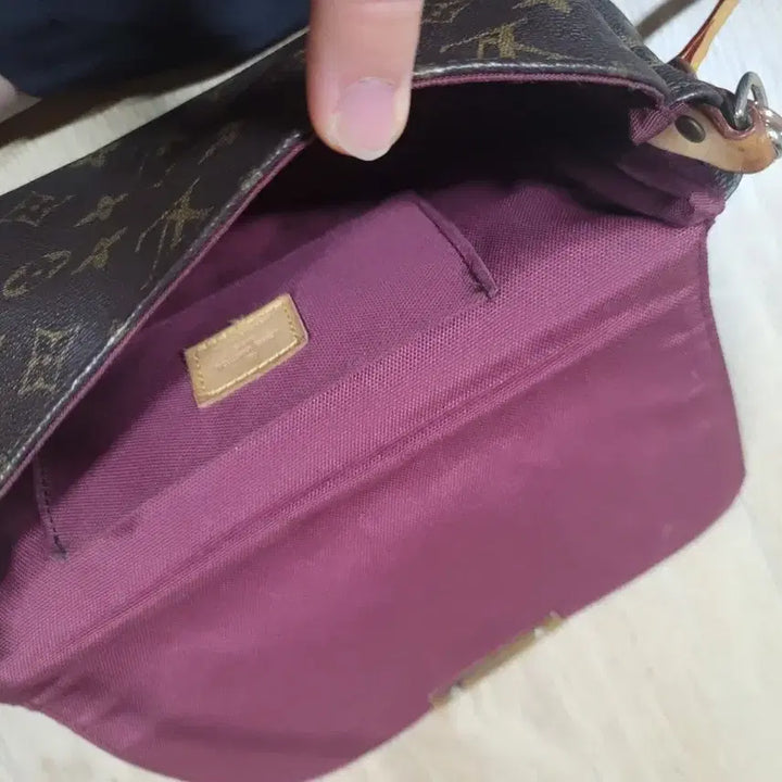[BUNJANG] Louis Vuitton Favorite MM Bag / 루이비통 페이버릿 mm