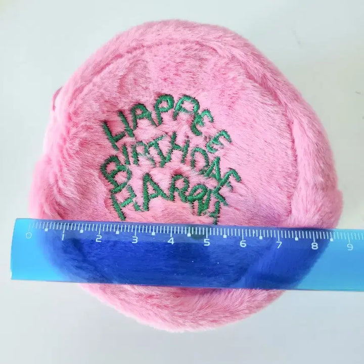 [BUNJANG] Harry Potter Birthday Cake Pouch Coin Purse / 새상품)해리포터 해피버스데이 생일 케이크 파우치 동전지갑