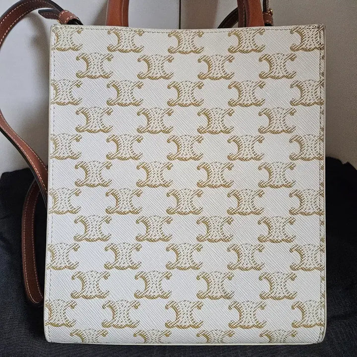 [BUNJANG] Celine Mini Cabas Vertical Tote Bag / [S+급] 셀린느 미니 카바스 버티컬 토트백