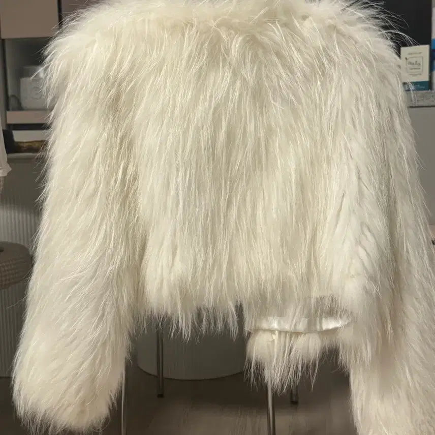 [BUNJANG] Fox White Fur Short Jacket / 화이트 퍼 숏 자켓 (폭스자켓)