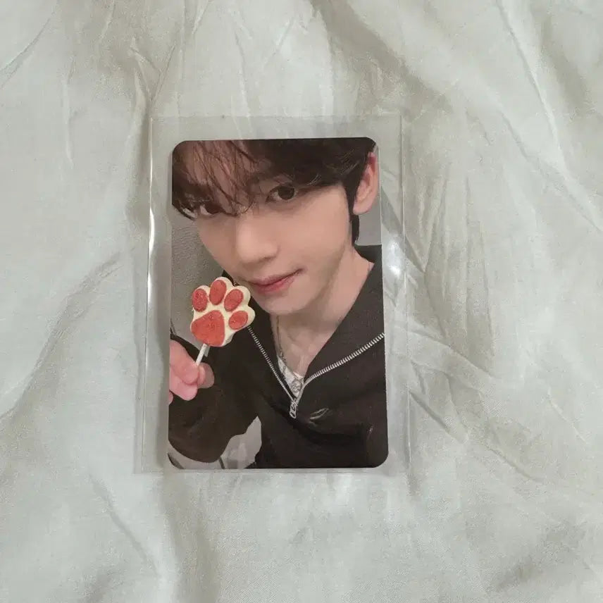 가요대제전 한유진 공방포카 제베원