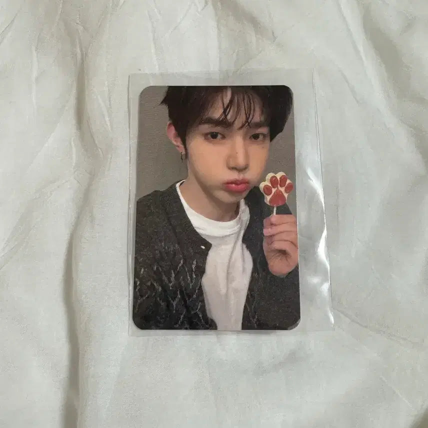 가요대제전 장하오 공방포카 제베원