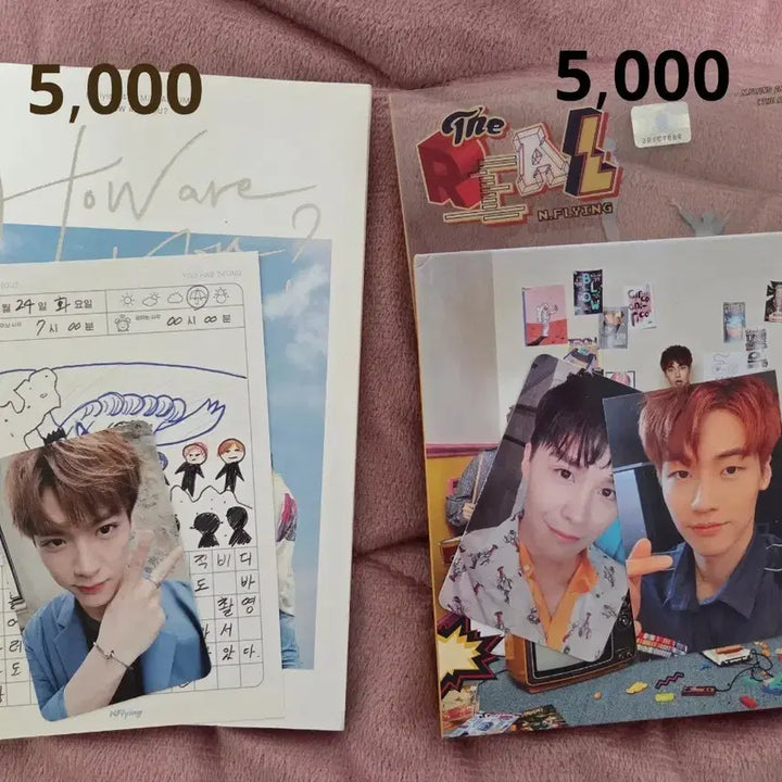 엔플라잉 앨범 싸게 판매합니다