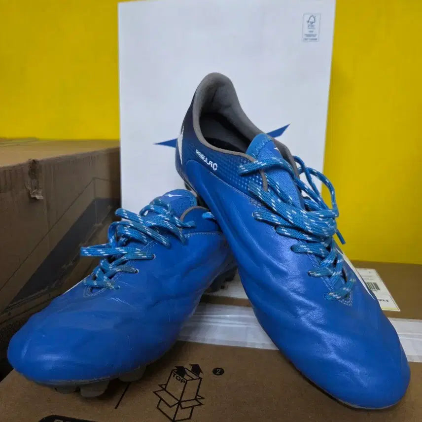 [BUNJANG] Mizuno Soccer Cleats / 미즈노 축구화