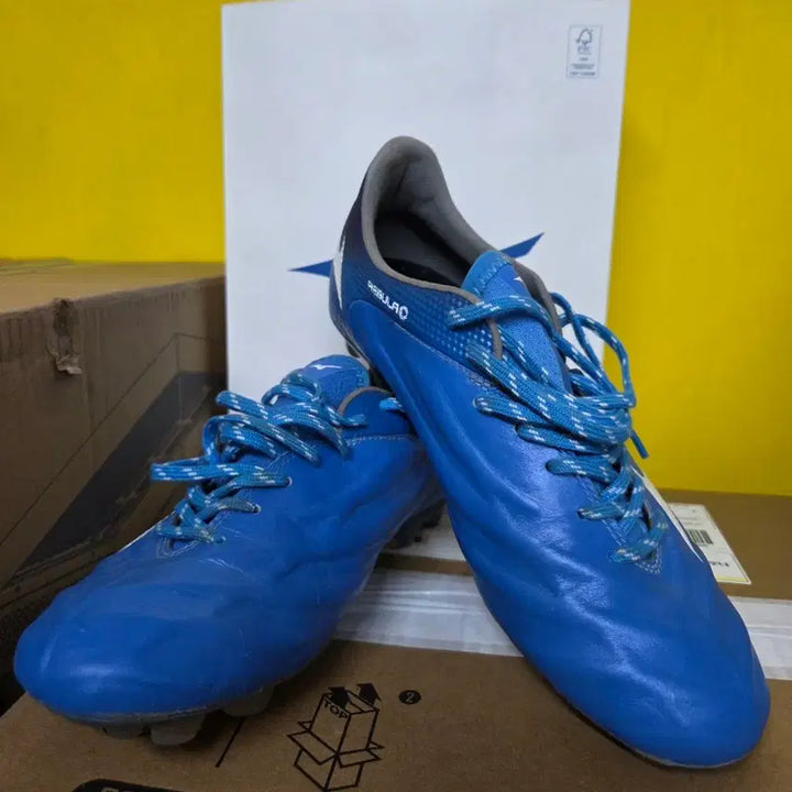 [BUNJANG] Mizuno Soccer Cleats / 미즈노 축구화
