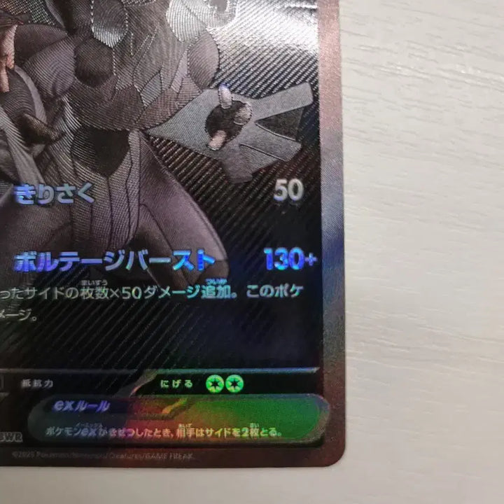 [BUNJANG] Zekrom B/W/R Japanese Edition Trading Card Bundle / 제크로무bwr 일판