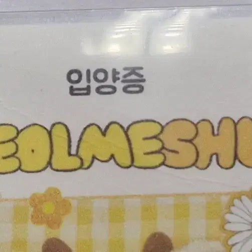 [BUNJANG] NMIXX Sullyoon Adoption Certificate / 절미슈 입양증 양도