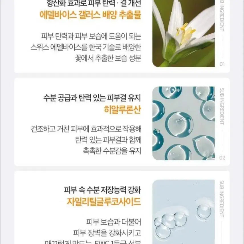 [BUNJANG] Celebrity Lemon Oil Mist 50ml / [물광피부 완성] 연예인 미스트 레몬오일 미스트 50ml