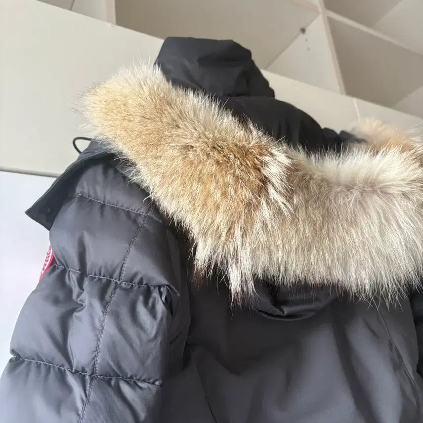 [BUNJANG] Canada Goose Winter Jacket / 캐나다구스