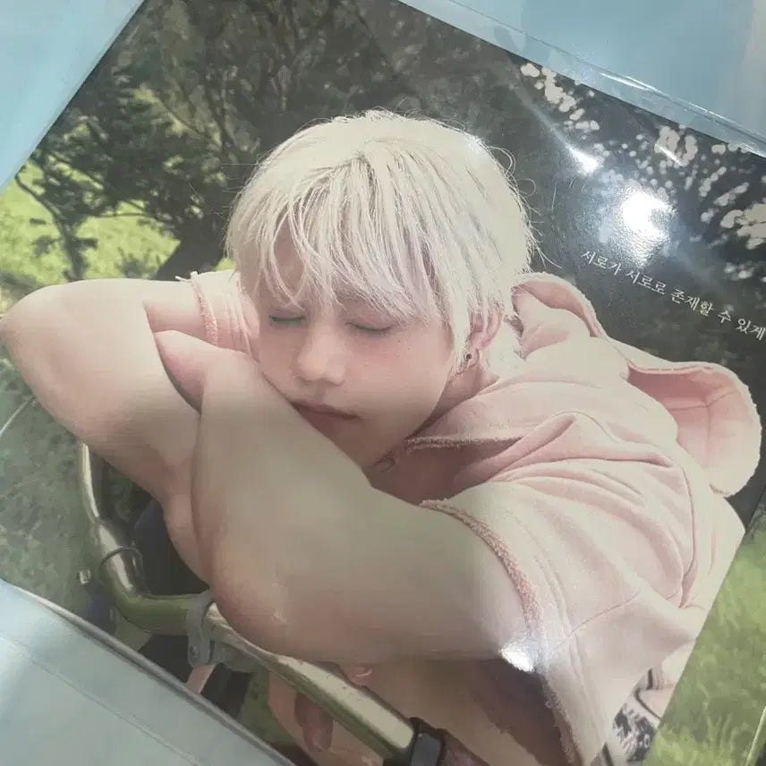 엔플라잉 띠지 차훈 사웨 대면 포카 회승