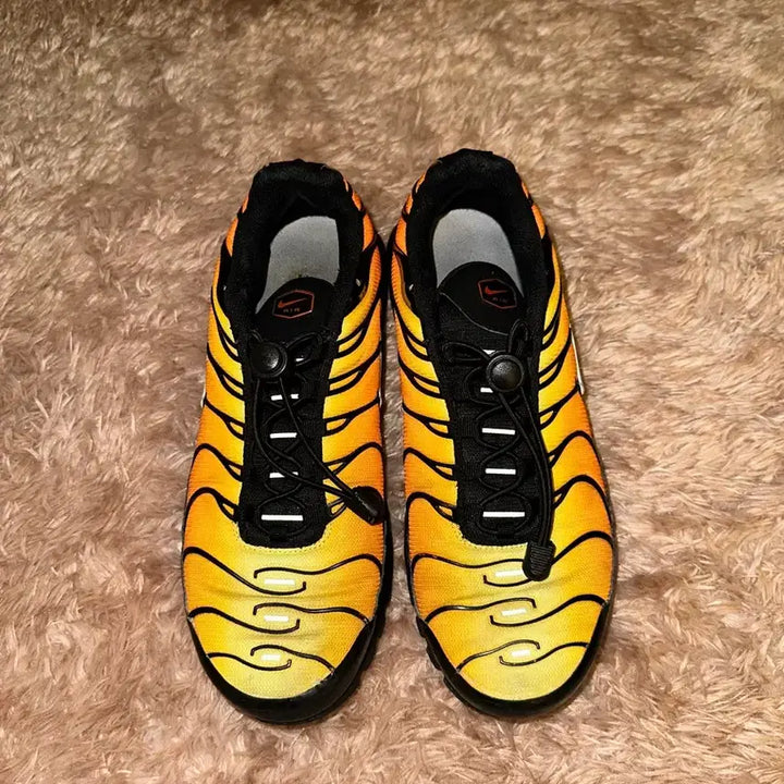 [BUNJANG] NIKE Air Max Plus Tiger Sneakers / NIKE AIRMAX PLUS TIGER 275 에어맥스 플러스