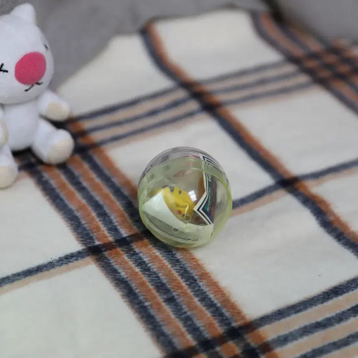 [BUNJANG] Pokemon AG Netsuke Mascot Set (8 Types) / [초레어/미개봉] 포켓몬 AG 네츠케 전설의 3대장 포함 8종 세트