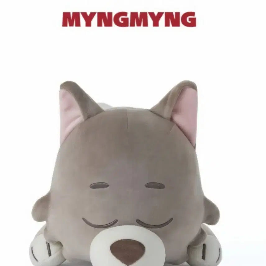 [BUNJANG] NMIXX Haewon Photocard Holder Cushion Bundle Set / 명명이 포카홀더 쿠션 일괄 처분