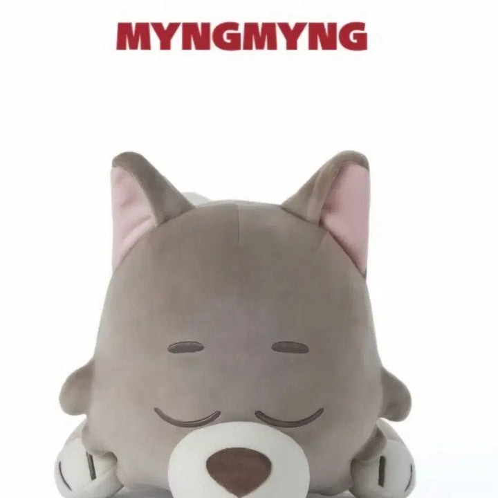 [BUNJANG] NMIXX Haewon Photocard Holder Cushion Bundle Set / 명명이 포카홀더 쿠션 일괄 처분