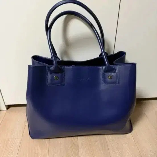 [SOLD OUT] 아네스베 통가죽 가방