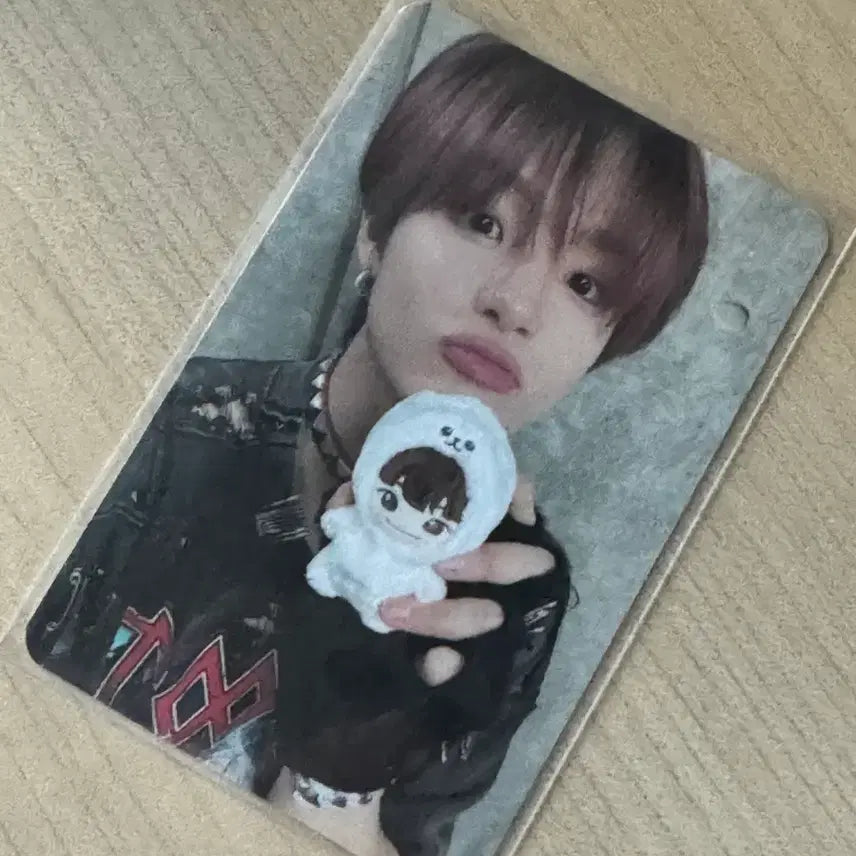 트레저 지훈 공식 인형 포카 일괄 양도해요 !!