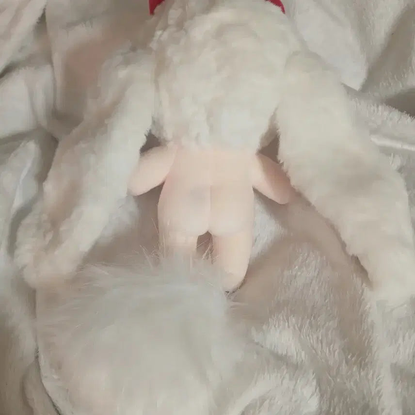 [BUNJANG] Unbranded 10cm Pelious SP Doll / 가격 안내려요 ) 무속성 10cm 솜인형 펠리우시 SP 솜깅