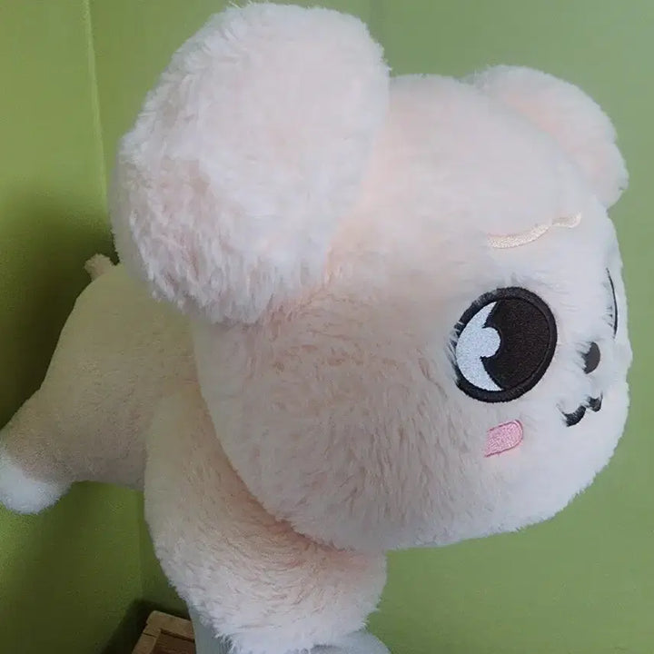 스트레이키즈 랜박, 랜포 합니다!