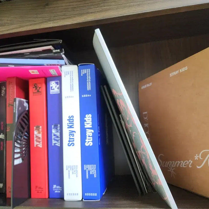 스트레이키즈 랜박, 랜포 합니다!