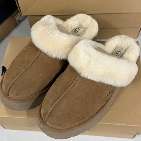 [BUNJANG] UGG Disquette Chestnut Men's Boots / [ 290 ] 어그 디스케트 체스트넛 남성용