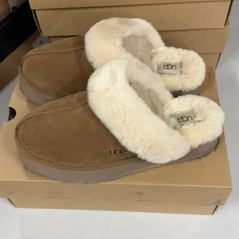[BUNJANG] UGG Disquette Chestnut Men's Boots / [ 290 ] 어그 디스케트 체스트넛 남성용