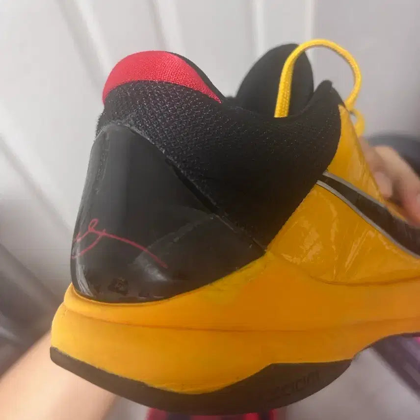 [BUNJANG] Kobe 5 Protro Bruce Lee Sneakers / [290] 코비5 프로트로 브루스리