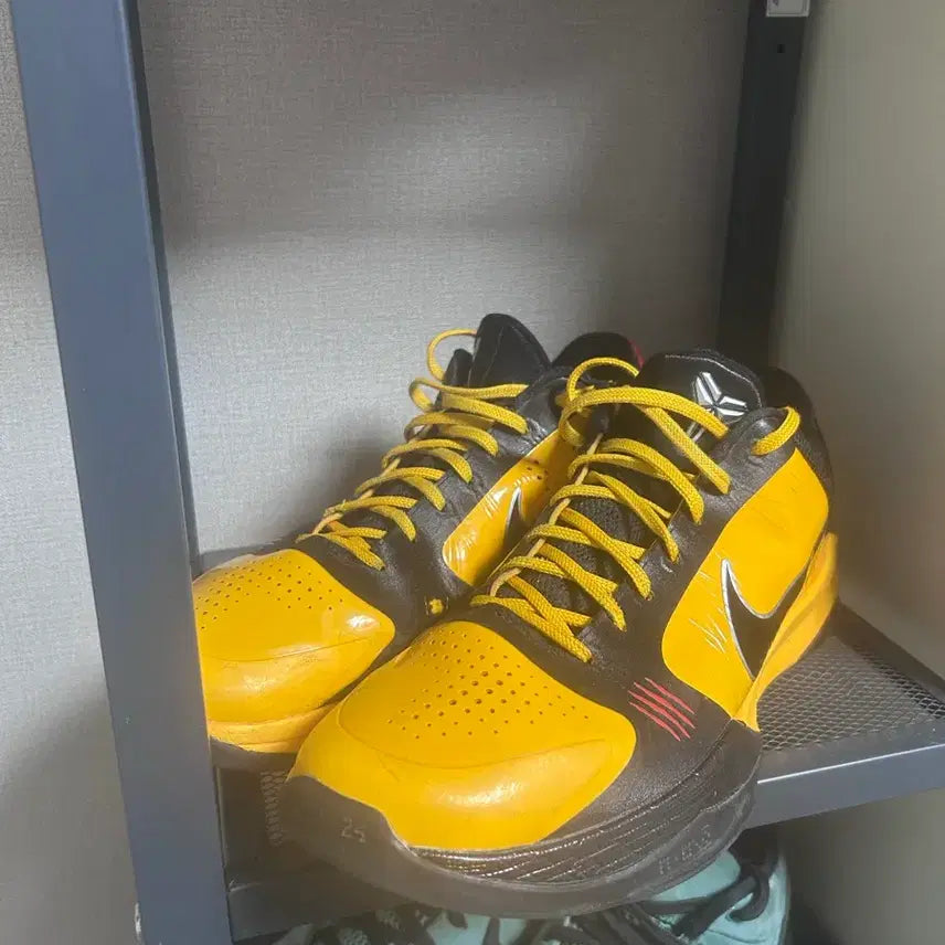 [BUNJANG] Kobe 5 Protro Bruce Lee Sneakers / [290] 코비5 프로트로 브루스리