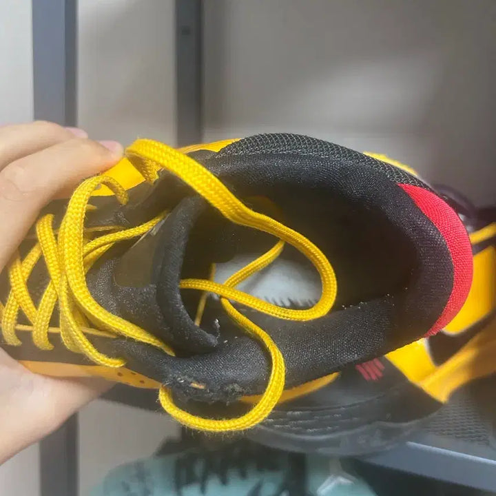 [BUNJANG] Kobe 5 Protro Bruce Lee Sneakers / [290] 코비5 프로트로 브루스리