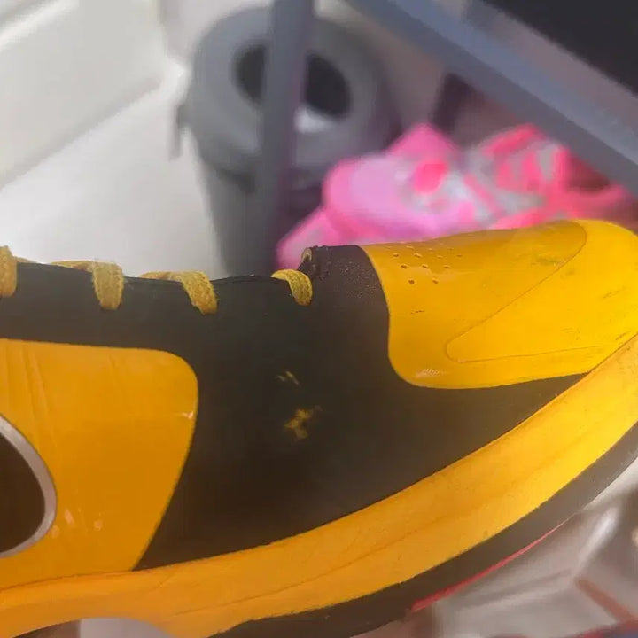 [BUNJANG] Kobe 5 Protro Bruce Lee Sneakers / [290] 코비5 프로트로 브루스리
