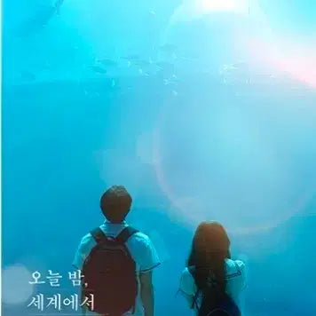 [BUNJANG] Oseeisa Aquarium Poster / 오늘 밤 세계에서 이 사랑이 사라진다 해도 오세이사 아쿠아리움 포스터
