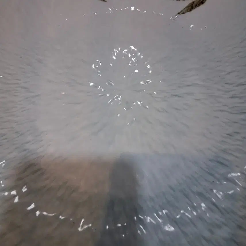 [BUNJANG] Large Ceramic Plate / 대형도자기 접시 반