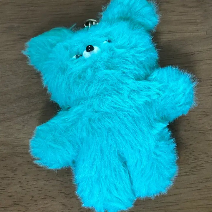 [BUNJANG] Wasabi Bear Keychain / (할인)와사비베어 키링