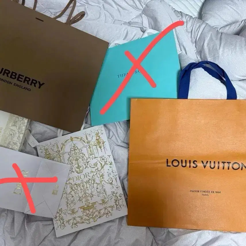 [BUNJANG] Various Luxury Shopping Bags / 명품 쇼핑백 (루이비통/버버리/디올/티파니)