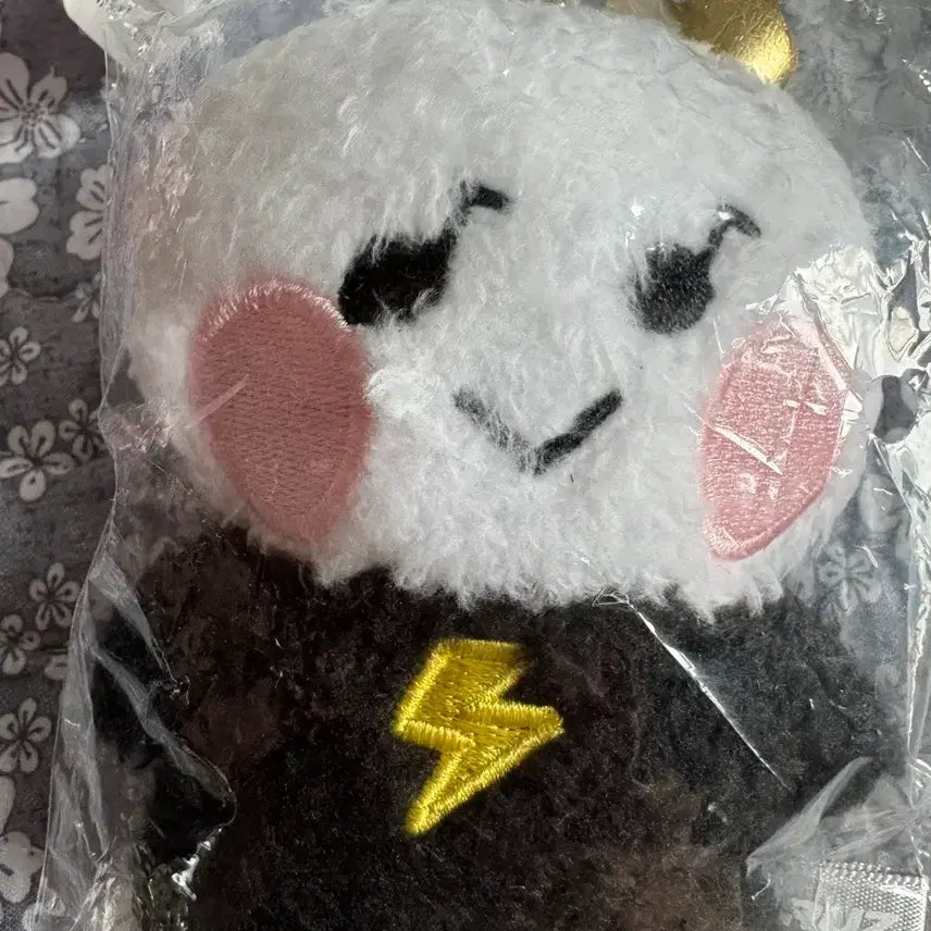 트루즈 요치 트레저 요시 탓톤 일본