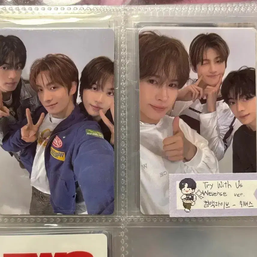 [BUNJANG] TWS Try with us Comeback Live POB Photocard Bundle Set / 투어스 try with us 컴백라이브 특전 포카 일괄 판매