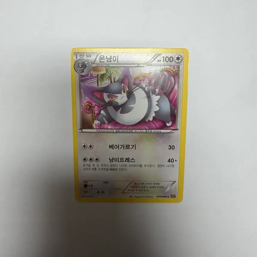 [BUNJANG] Pokemon Monnyangi Trading Cards / 몬냥이 포켓몬카드