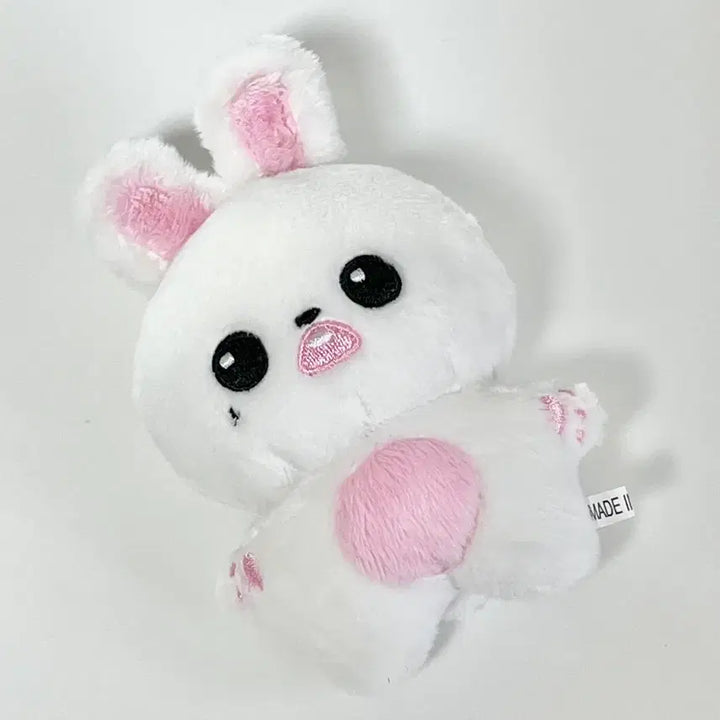 [SOLD OUT] 택포 / 버니녕