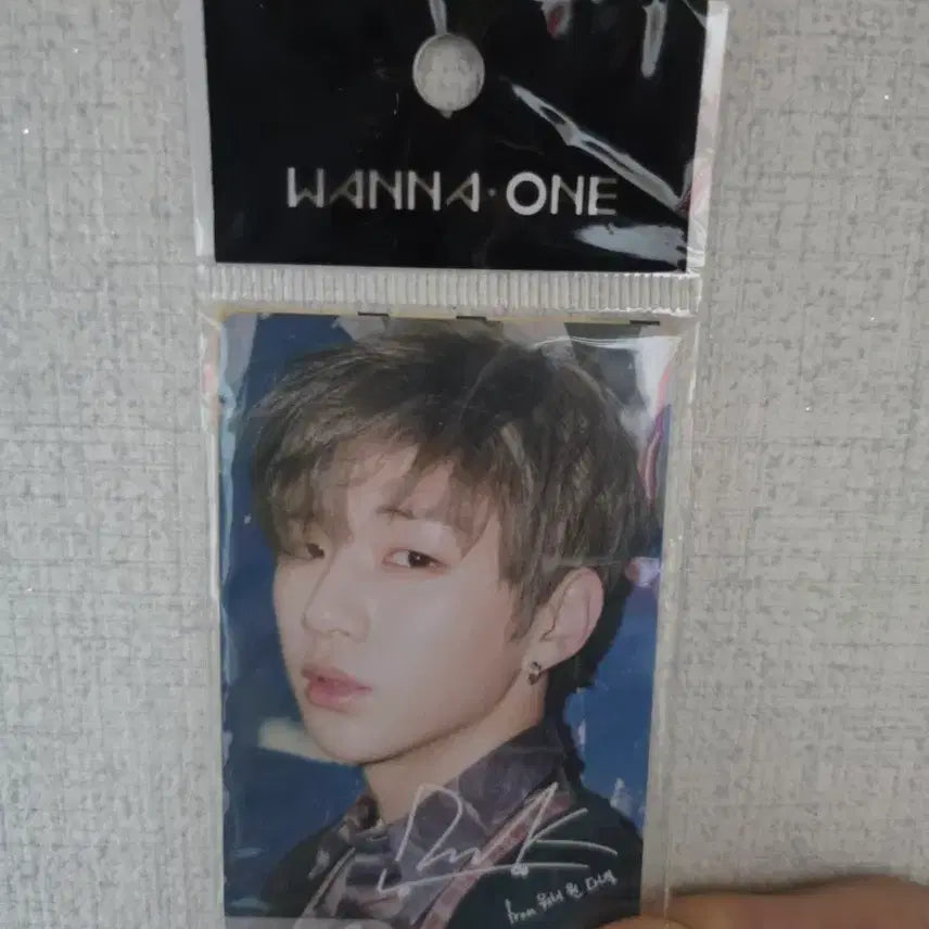 워너원 강다니엘 캐시비 교통카드