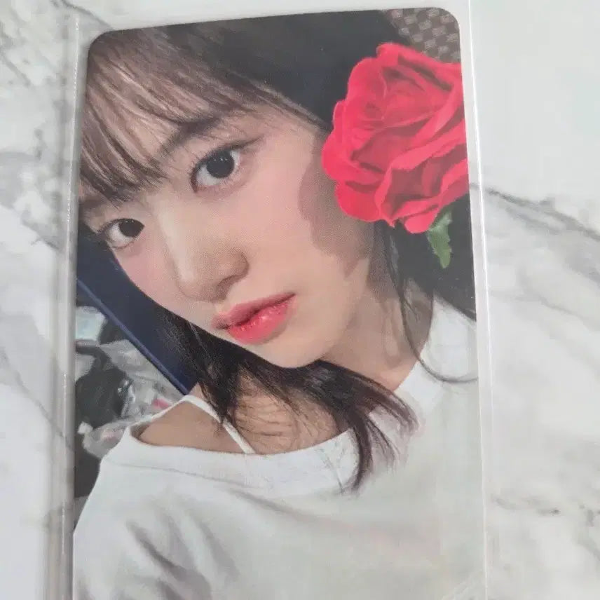 [BUNJANG] IVE (아이브) Yujin Rose Photocard / 아이브 엠파시 애플뮤직4차 장미 유진